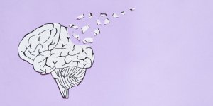 7 habitudes alimentaires qui ralentissent le vieillissement cerebral
