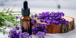 6 bienfaits de l-huile de lavande pour les cheveux
