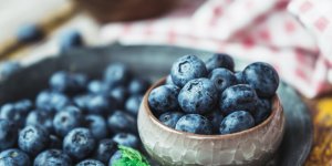 La myrtille : 5 bienfaits de ce superaliment 