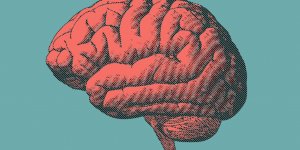 Certains medicaments contre l-hypertension pourraient ralentir les pertes de memoire