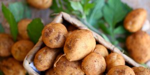 10 legumes que vous pouvez faire repousser a la maison 