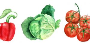 Les 30 aliments les plus sains selon un nutritionniste