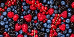 Parkinson : oranges, baies... 6 aliments qui augmentent votre esperance de vie