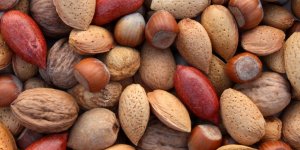 Noix, amandes, noisettes : 3 fruits a coque qui boostent votre immunite