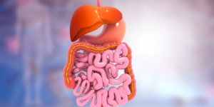 10 aliments a eviter pour garder un microbiote sain 