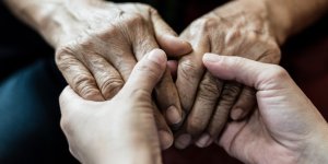 Alzheimer : un regime riche en flavonoides baisse le risque de declin cognitif