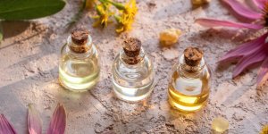 Covid-19 : les plantes a eviter car elles perturbent l-immunite
