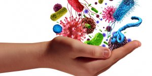Les pires bacteries de l’ete