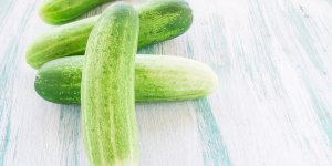 Votre penis a-t-il une taille normale ?