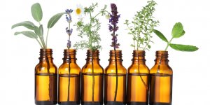 Les 10 huiles essentielles pour soutenir l-immunite en hiver !