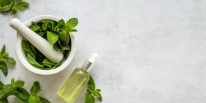 Les 7 bienfaits sante de la menthe
