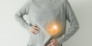 La rate : zoom sur cet organe meconnu et les signes a reperer en cas d’anomalie