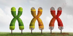 5 facons de ralentir le vieillissement selon la science
