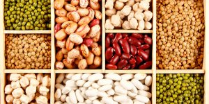 Certaines legumineuses peuvent declencher des allergies au soja et a l-arachide