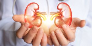Reins : 5 causes courantes de lesions renales