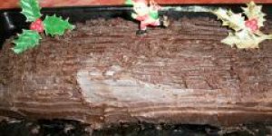 Buche de Noel
