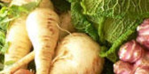 Salade de legumes d-hiver