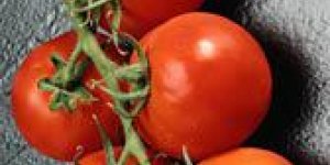 Soupe light de tomates et de tofu