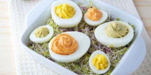 Oeufs mimosa au thon en trois saveurs