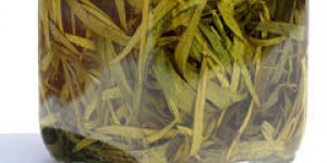 Estragon au vinaigre et a la moutarde
