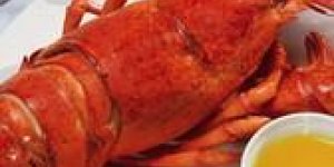 Flan de homard et sa creme d-estragon