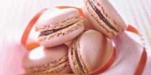 Macarons a la rose 
