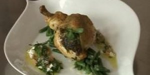 Supreme de poulet contise au pistou, sauce vierge a la ricotta, haricots verts aux oignons nouveaux