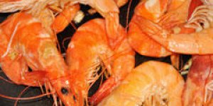 Galette aux crevettes