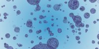 Coronavirus : comment savoir si vous êtes immunisé ?