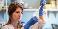 Coronavirus : et si la chloroquine, traitement contre le paludisme, était la solution ?