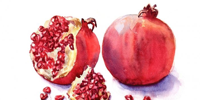 11 aliments pour renforcer votre immunite face a Omicron