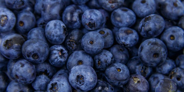 5 recettes a faire avec des myrtilles