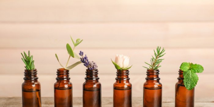 7 huiles essentielles a diffuser pour chasser les microbes hivernaux