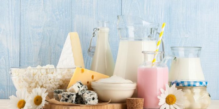 Vitamine D : 7 aliments qui en contiennent le plus 