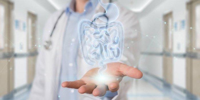 Microbiote intestinal : 10 aliments avec l-additif E415 capable de le modifier