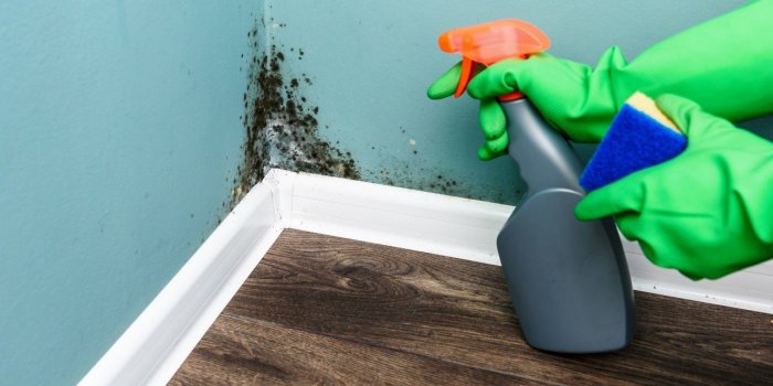 Moisissure au mur : 6 astuces pour s’en debarrasser