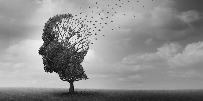 Alzheimer : 8 choses a faires si vous avez des cas dans votre famille