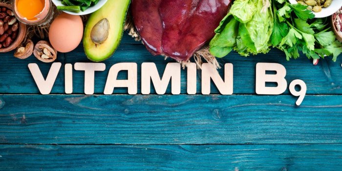 Alzheimer : les aliments riches en vitamine B9 vous protegent