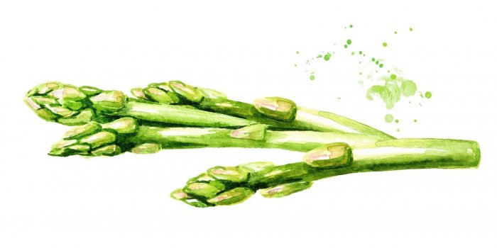 Regime : 14 aliments qui vous evitent de grossir