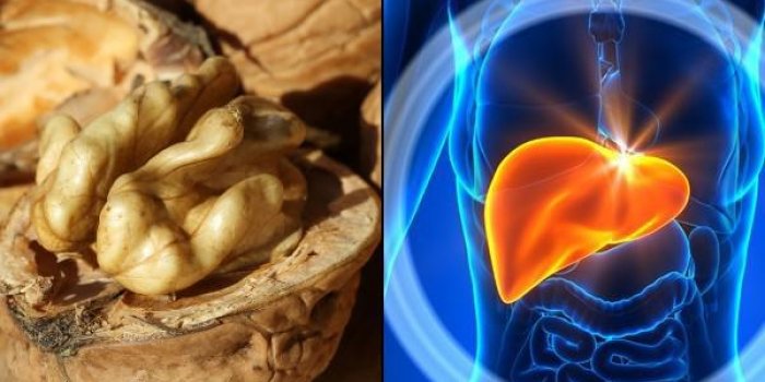 Top 6 des aliments a eviter et les cancers qu-ils provoquent