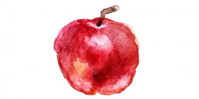 Glycemie : ils perdent 9 cm de tour de taille grace a ces aliments
