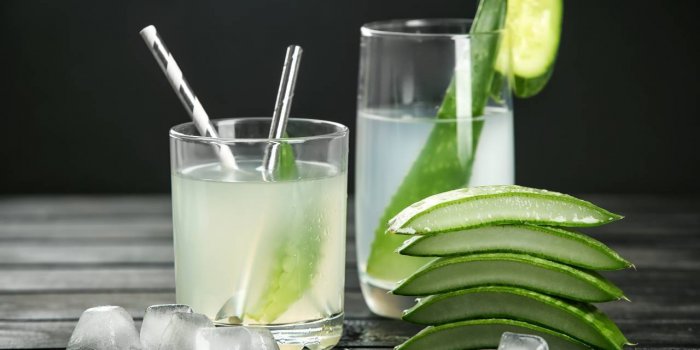 Jus d’aloe vera : 6 bienfaits pour votre organisme
