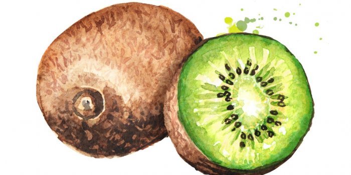 Covid-19 : une alimentation anti-inflammatoire pourrait vous proteger 