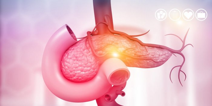 5 facons d-eviter la pancreatite