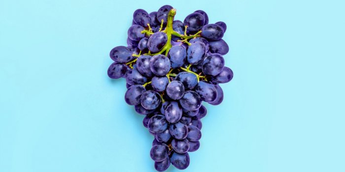 Hypertension : misez sur les aliments riches en flavanols 