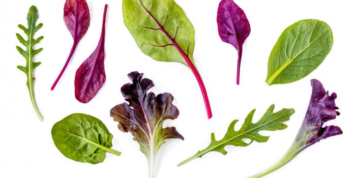 Ces 7 choses que vous ignorez sur la salade en sachet