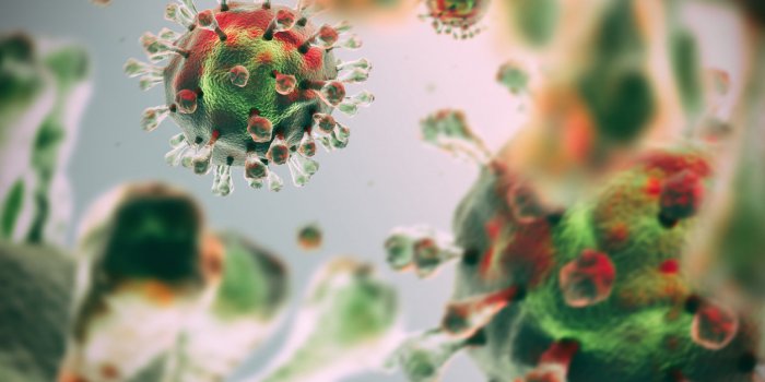 Bacterie mangeuse de chair : une jeune femme perd son visage apres l-avoir attrapee