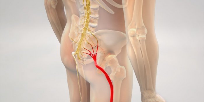 Sciatique : 5 huiles essentielles qui soulagent les douleurs