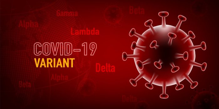 Covid-19 : les 5 variants les plus preoccupants selon Sante Publique France