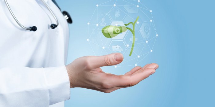 Cancer de la vesicule et des voies biliaires : les signes qui doivent alerter 